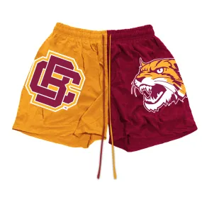 Bethune Cookman Shorts